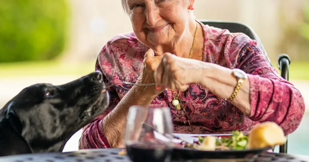 Accessible Fun for Seniors with Arthritis: 10 Easy Indoor Adaptive Sports and Games to Stay Active and Engaged